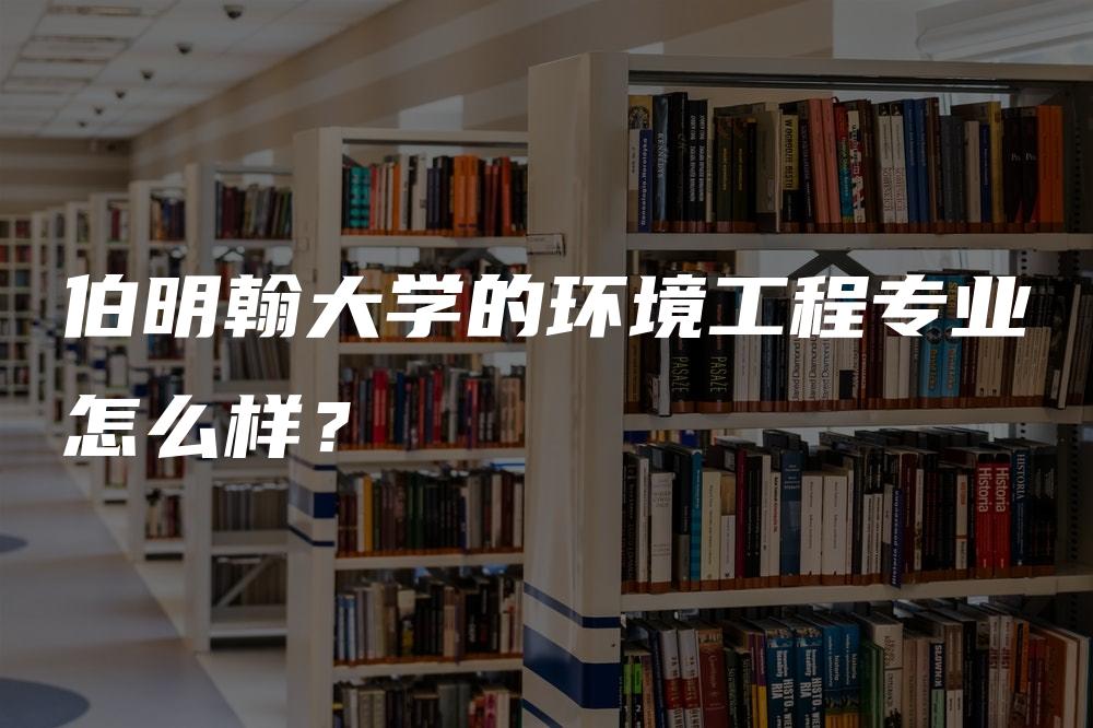 伯明翰大学的环境工程专业怎么样？