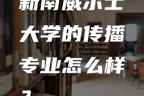 新南威尔士大学的传播专业怎么样？